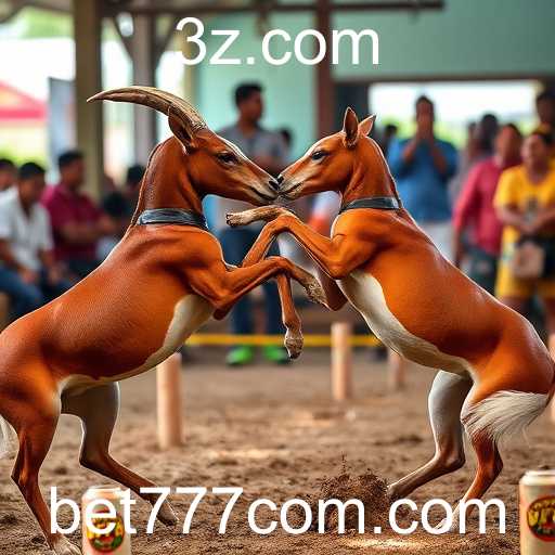 Explorando o Mundo do Sabong Online e o Papel do Bet777